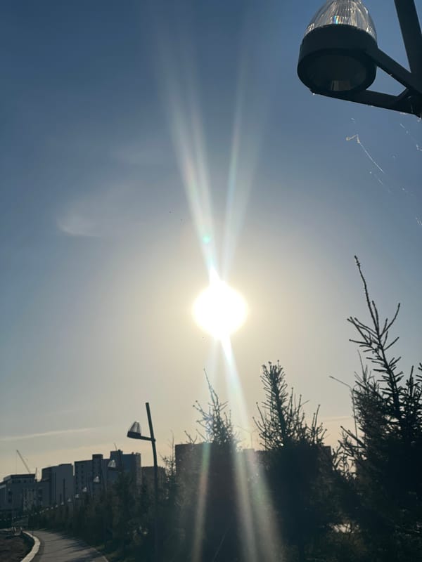 Daytime cityscape and park scenes documented in Kokshetau, Kazakhstan