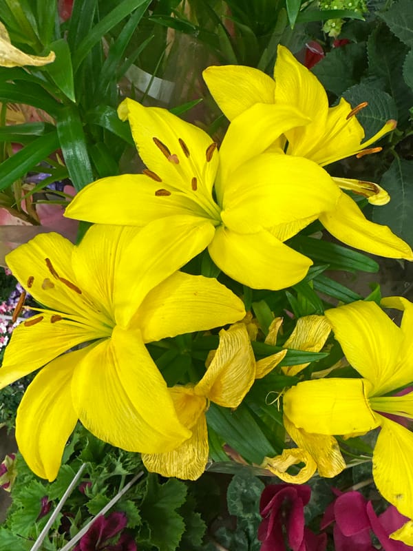 Woman documents shopping trip across Istanbul retail stores