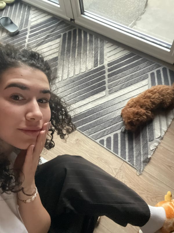 Woman and poodle play tug-of-war in Sofia apartment