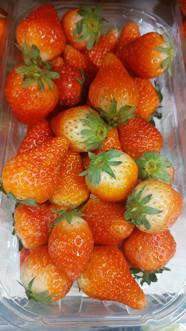 Shopping and food items documented across Novosibirsk retail locations