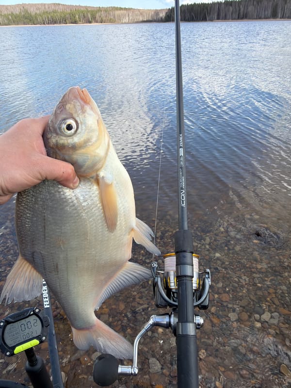 Morning fishing expedition yields multiple catches in Chaikovsky, Russia