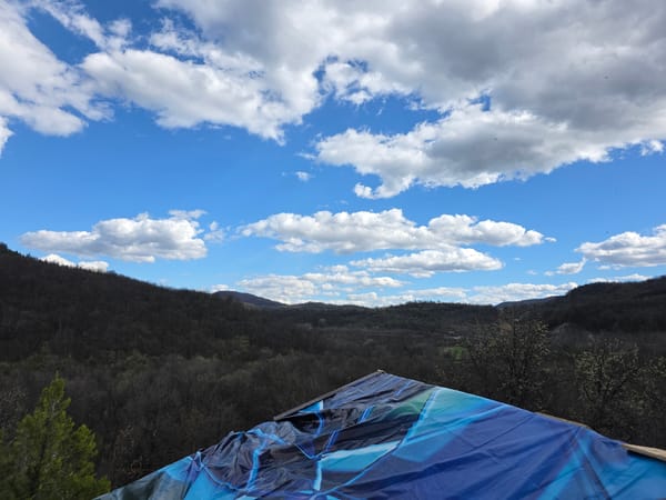 Spring landscape documented in rural Bulgaria shows bare forests