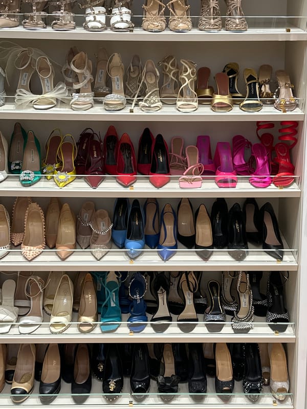 Moscow resident's organized luxury shoe collection documented
