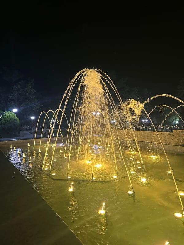 Evening fountain display and dining captured in Stara Zagora