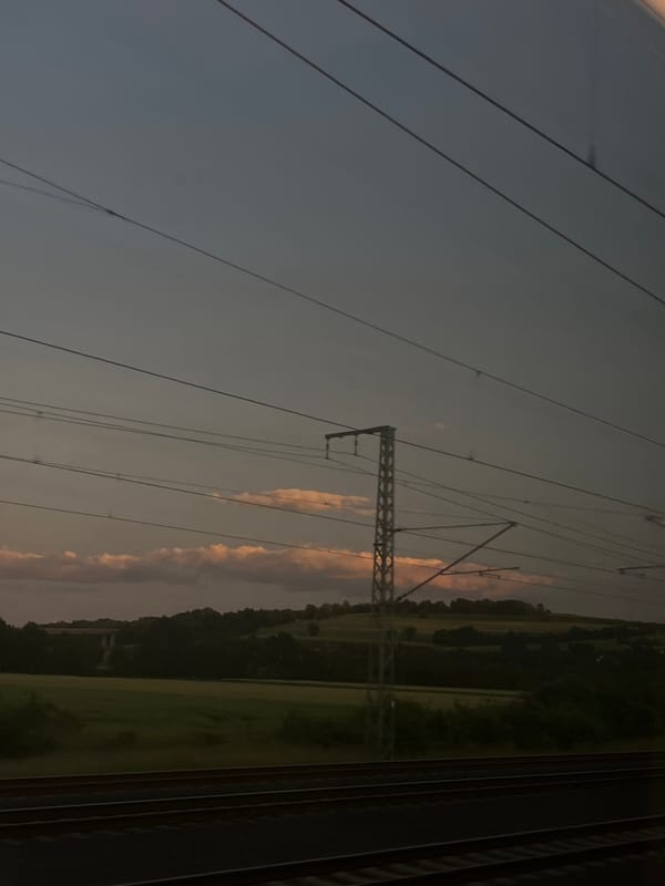 Train passenger documents 16-minute dusk journey through rural landscape