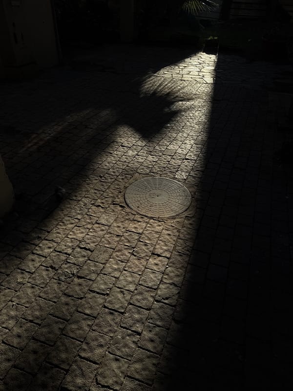 Early morning cobblestone street scene documented in Tel-Aviv