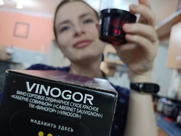 Quiet Evening at Home with Dogs and Wine in Rusalevka