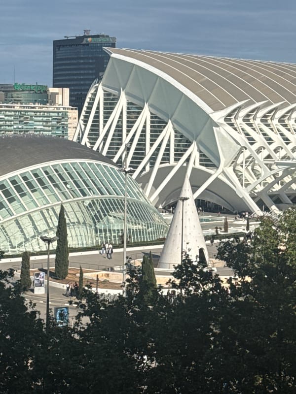 Valencia's City of Arts and Sciences captured by witnesses