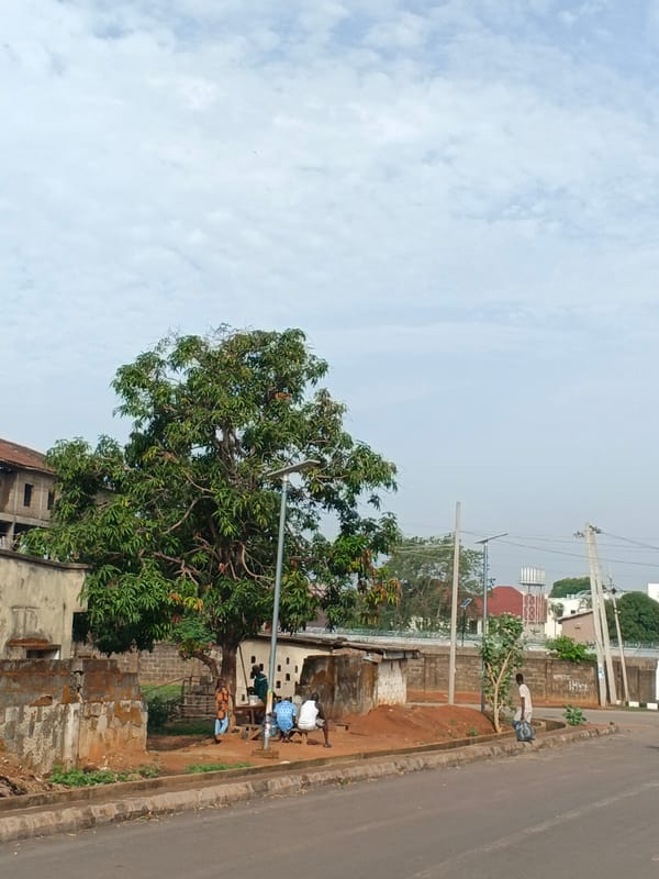 Morning street life documented in Shaba, Nigeria