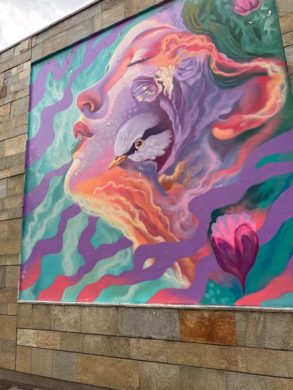 Street Art Documentation Tour Captured Across Sofia Bulgaria