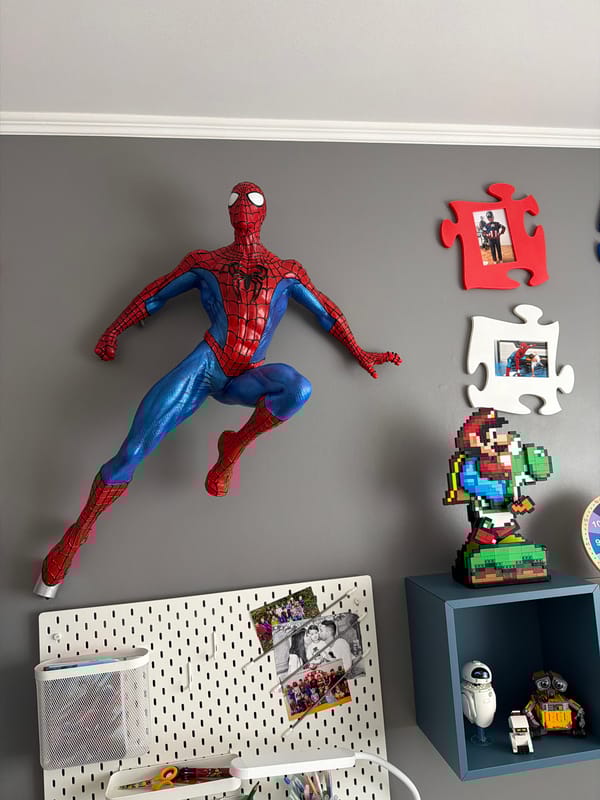 Pop Culture Collector Documents Personal Collection in Luxembourg Home