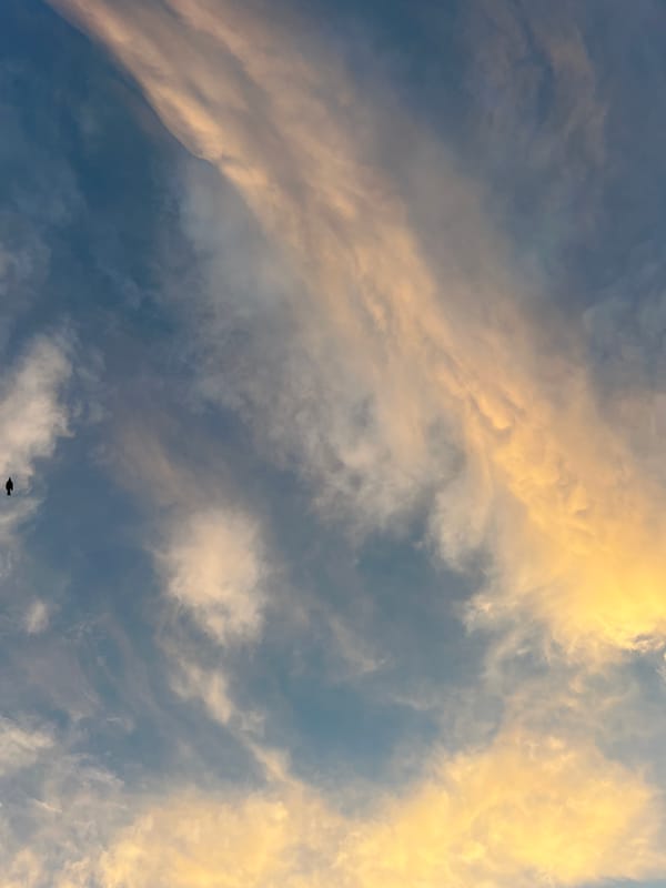 Dusk sky with warm clouds, shot from multiple angles
