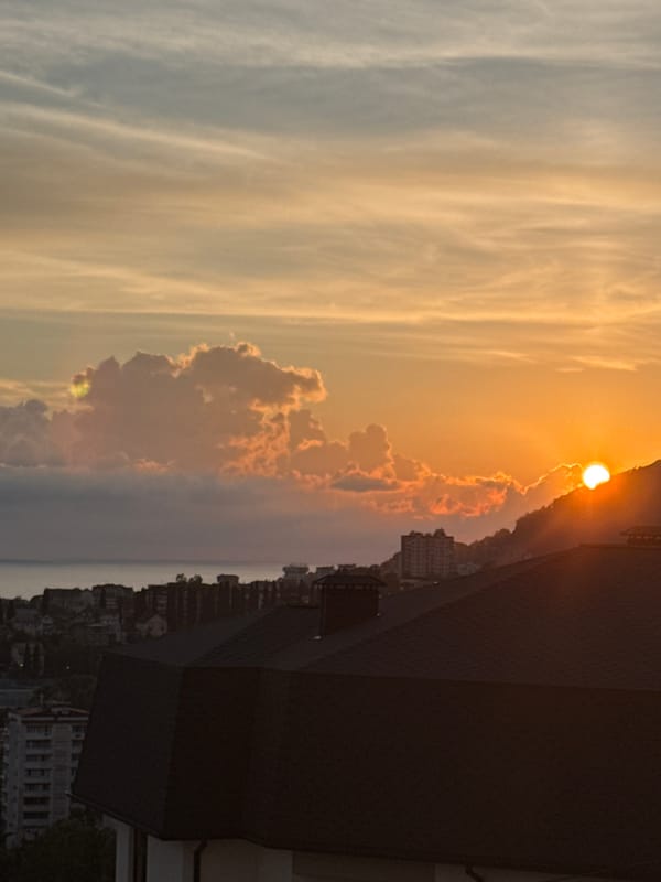 Bengal cat enjoys sunset golden hour in Sochi apartment