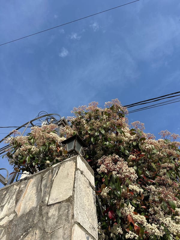 Everyday street life documented in Bar and Šušanj, Montenegro