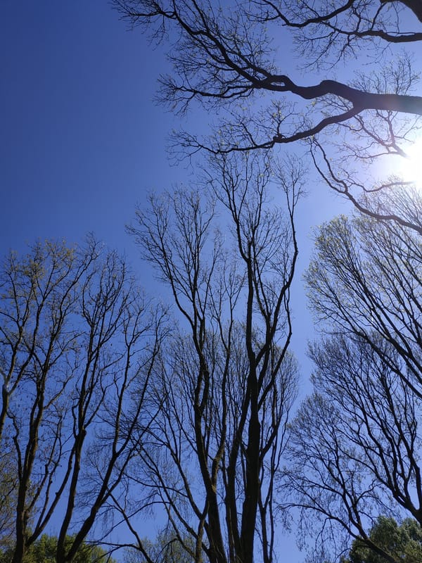 Spring morning park walk documented in Dortmund