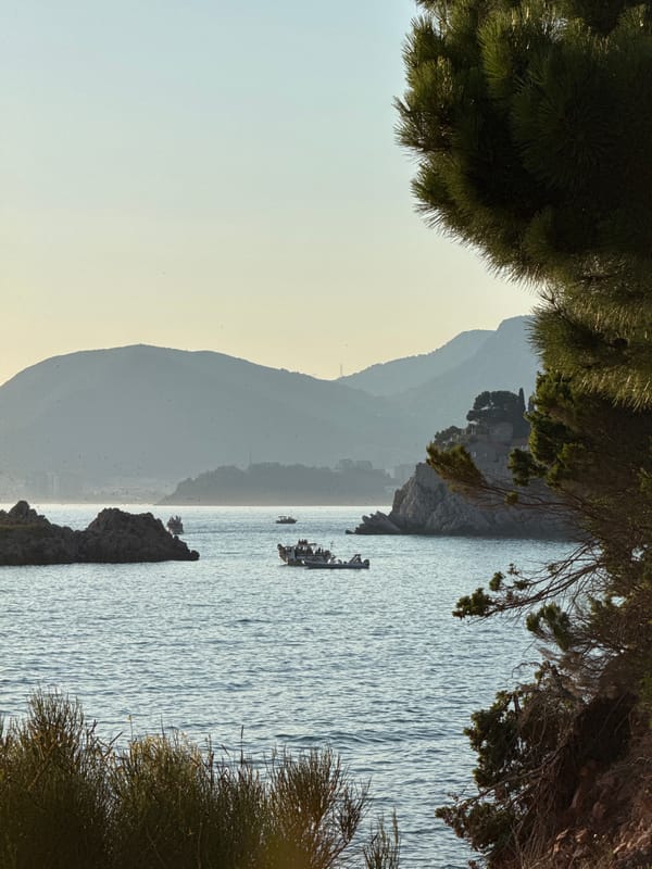 Budva coastline through green foliage in warm afternoon light.