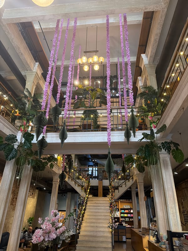 Morning scenes captured in Belgrade: decorated interior, street corner