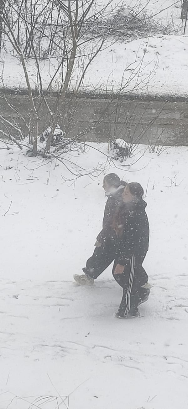 Snow walkers and digital display spotted in same area