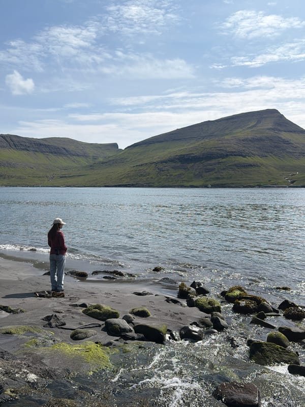 Bøur's rugged coastline, peaks, and dark beaches in summer