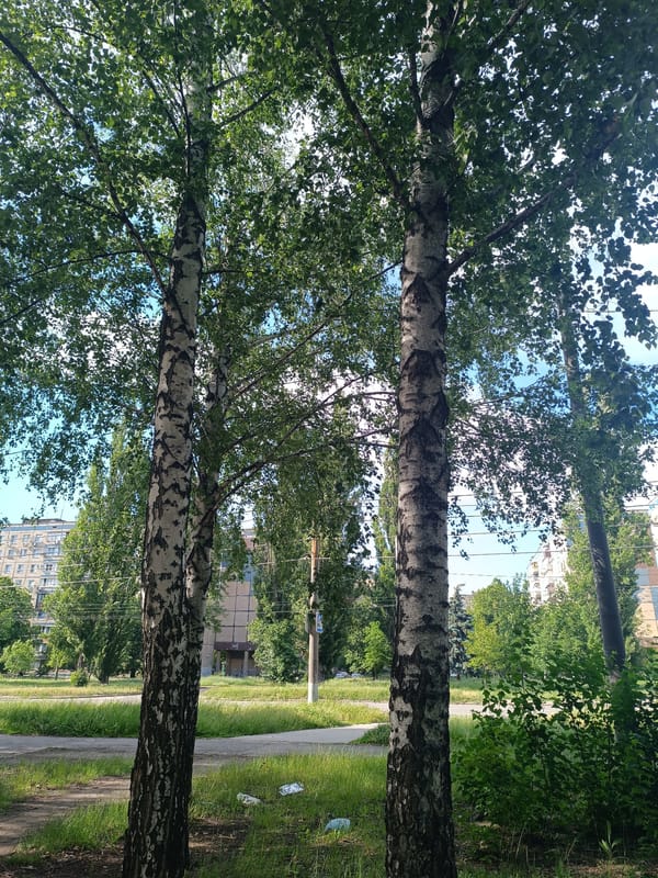 Kryvyi Rih park and street life on a summer afternoon