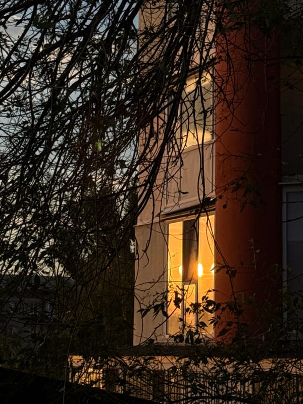Cats, fruit, and golden-hour skies in Raivka, Ukraine