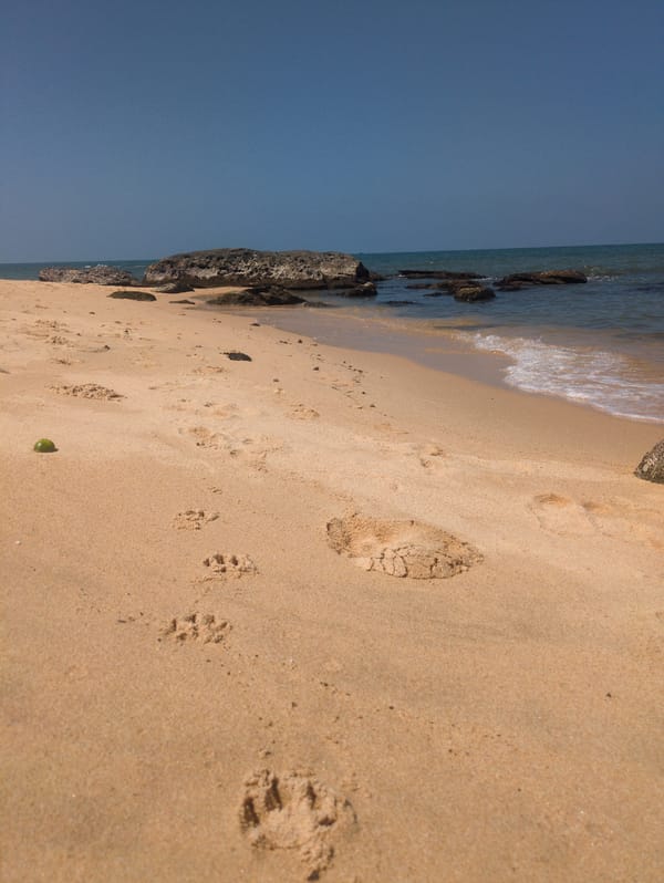 Early morning beach scenes documented in Phú Quốc Vietnam
