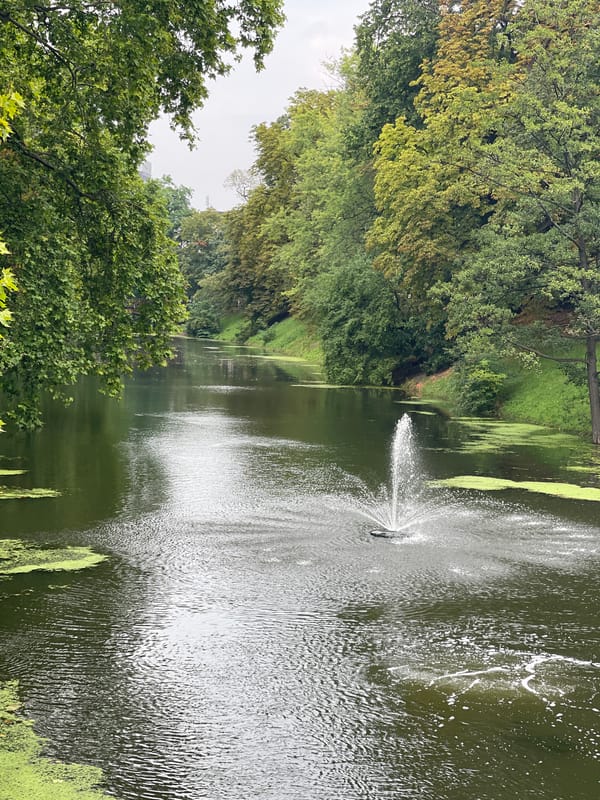 Still canal in Wrocław, trees hinting at early autumn