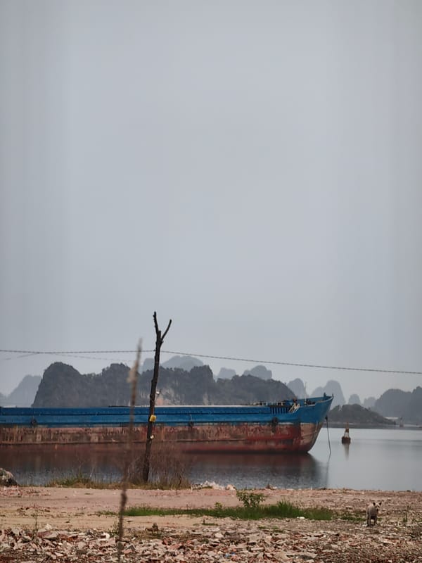 Abandoned barge spotted in Quang Hanh Ward harbor