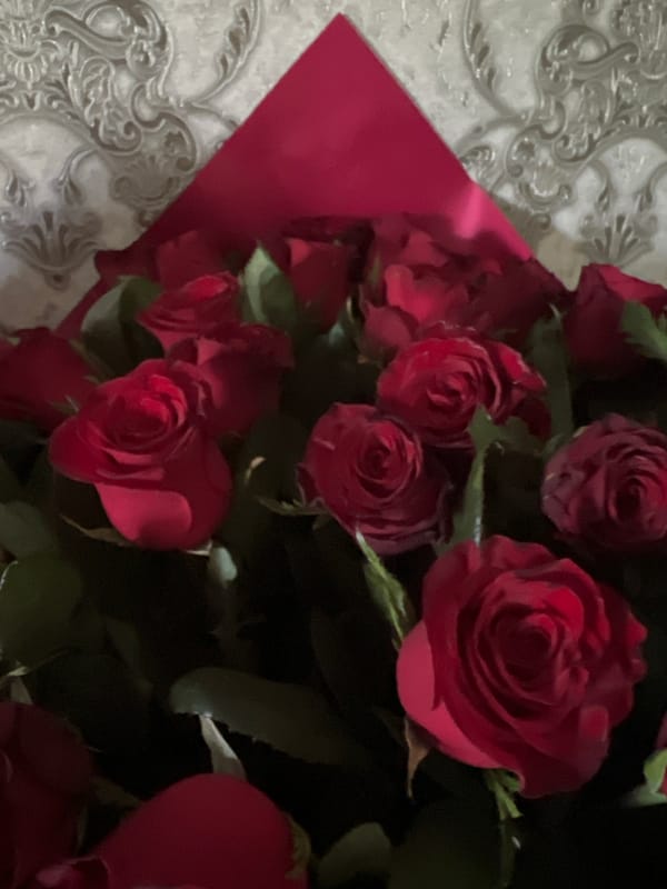 Roses, ripe apricots, and a lucky cat in Еркін