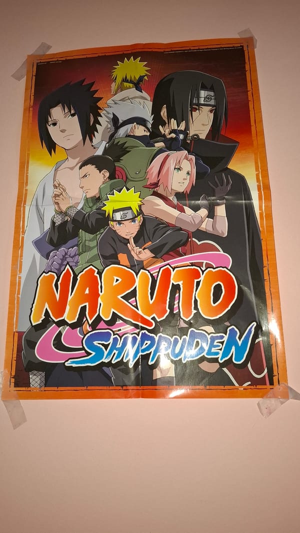 Anime fan's bedroom documented in Sofia with collectibles and pets