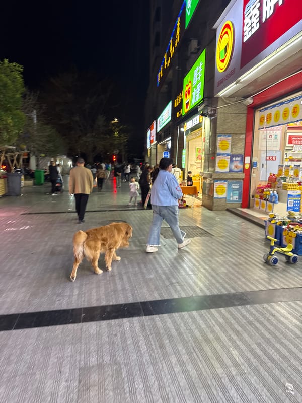 Ordinary street life observed in Shapingba District, Chongqing
