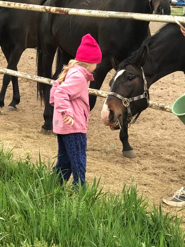 Woman, child feed horses in Kharkiv enclosure