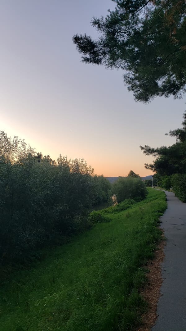 Evening activity along the Sekčov River path in Prešov
