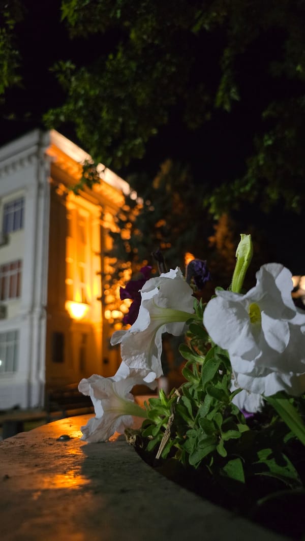 A weeknight out in Krasnodar's parks and streets