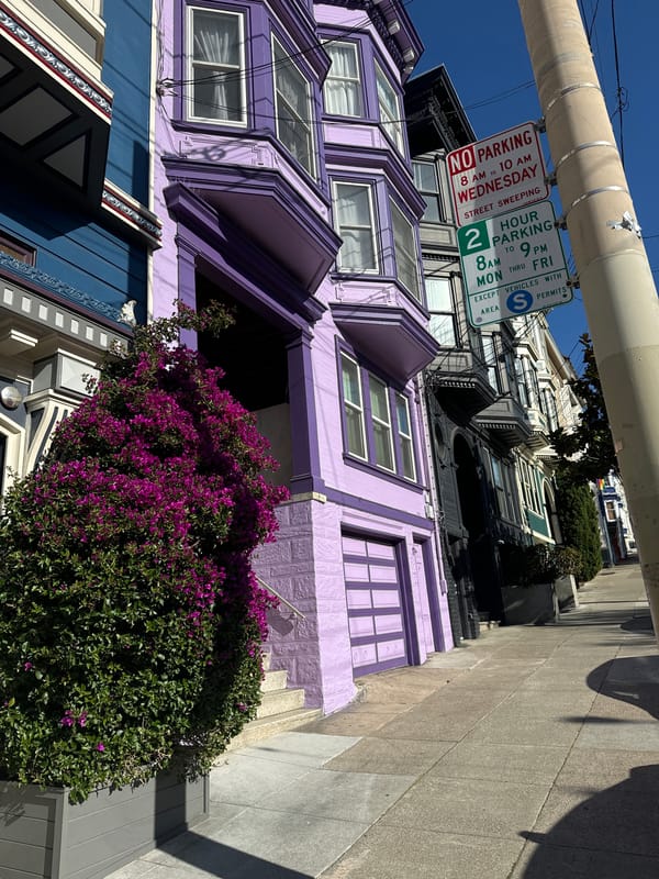 San Francisco street scene: Victorians, trolley wires, and a feisty window display