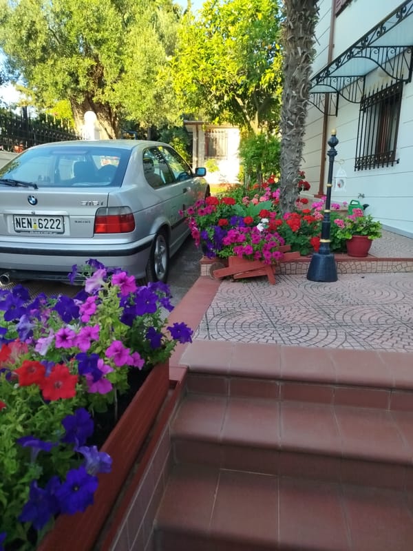 Coastal walk through Sithonia's beaches and flowering streets