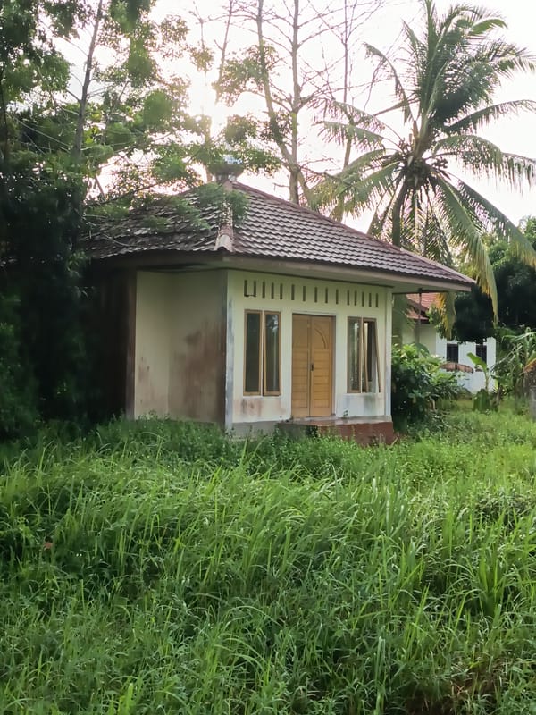 Ferry, shoreline, and local grounds around Pemuka and Singkil
