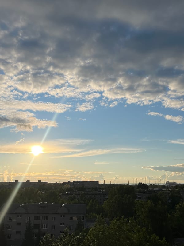Sunny afternoon skies and playful dog documented in unknown city