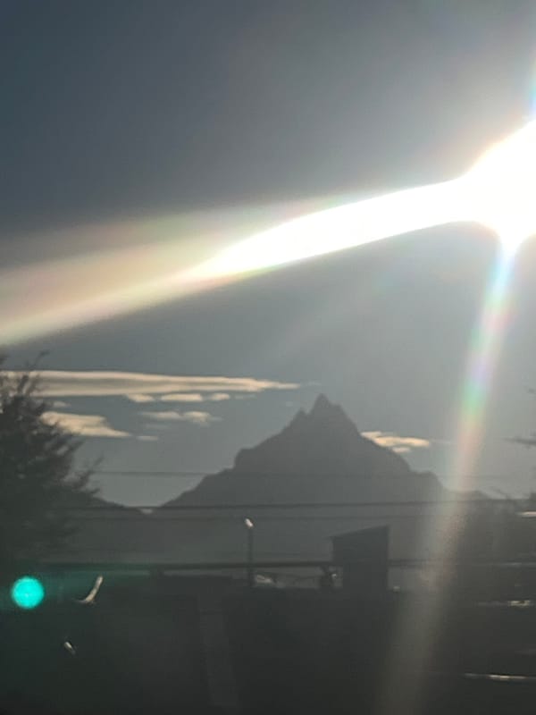 Cat named Chet spotted relaxing in bright Ushuaia sunlight