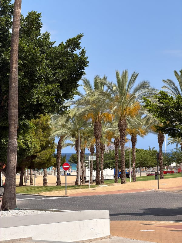 Sunny afternoon along the palm-lined seafront in La Vila Joiosa