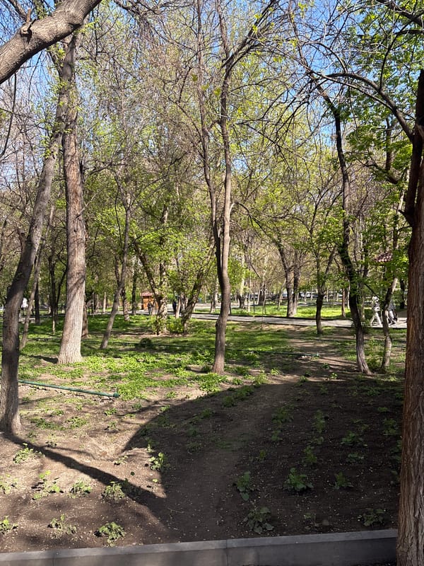 Spring morning scenes captured across Yerevan park and billiard hall