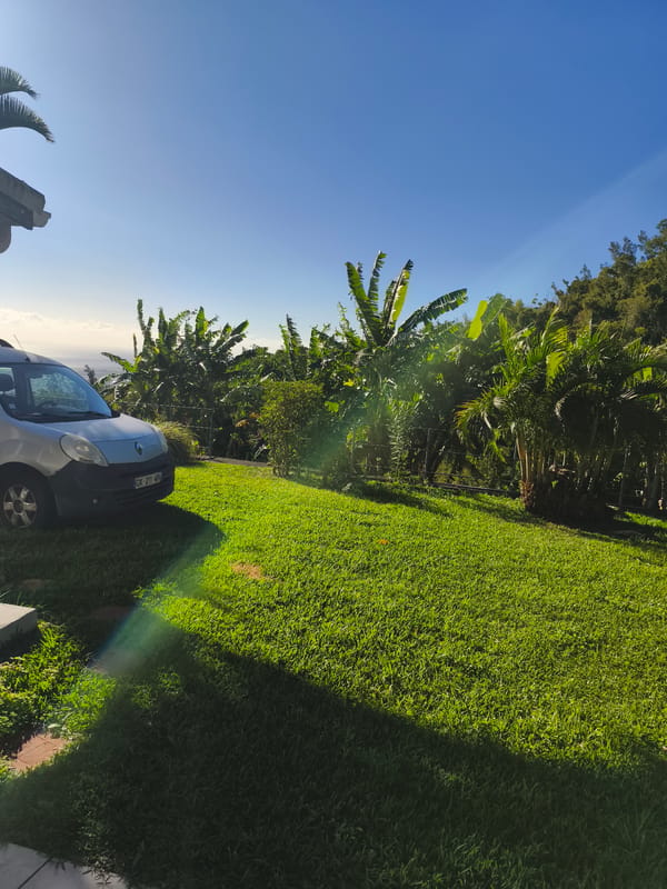 Sunny yard and garden details in Saint-Denis, Réunion