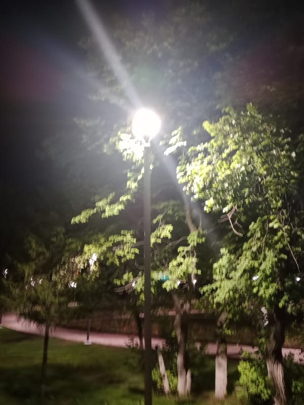 Evening stroll through a Semey park's colorful flowerbeds