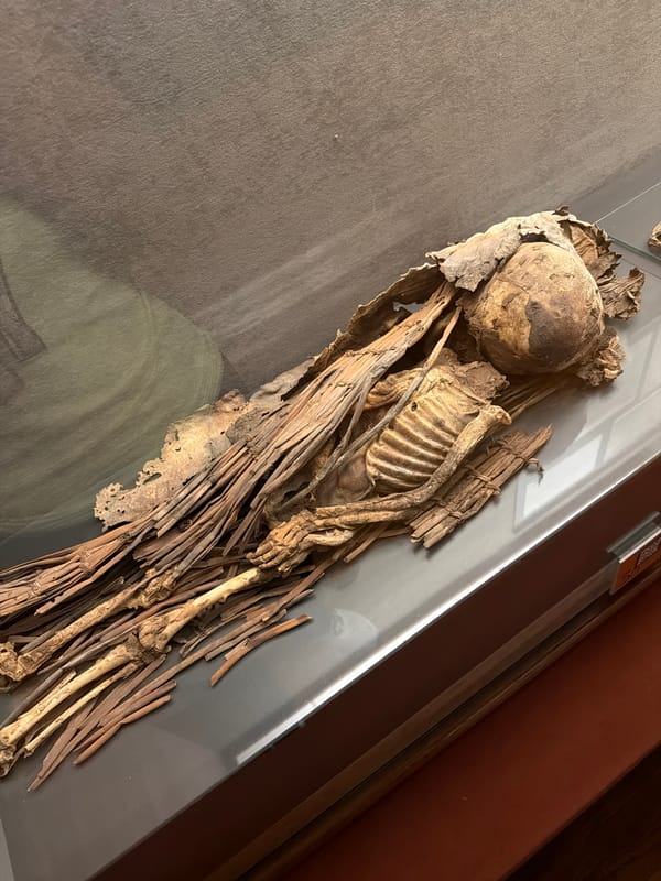 Tourist documents museum exhibits and historic sites in Las Palmas