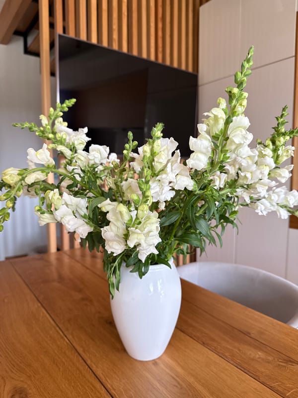 Dog plays with octopus toy beside fresh snapdragons at home