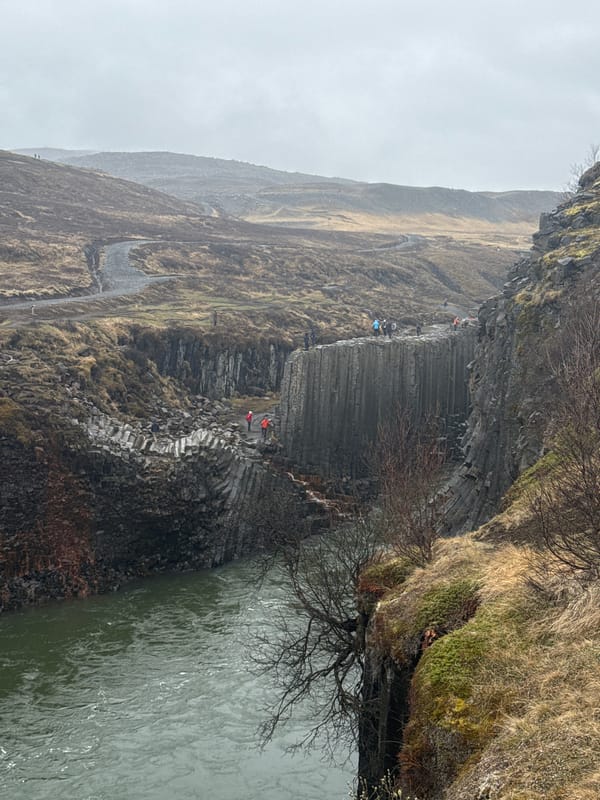 Tourist captures Iceland's dramatic basalt columns and turbulent river