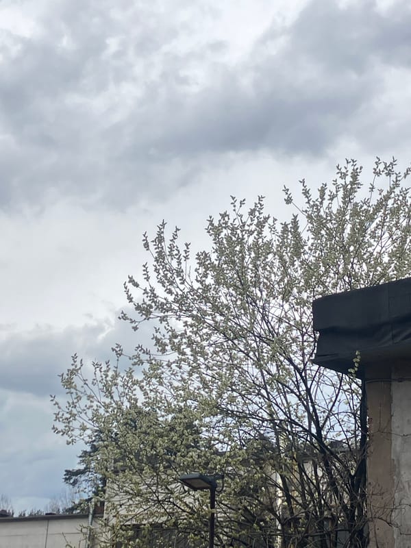 Overcast afternoon moments documented in Noviy, Russia