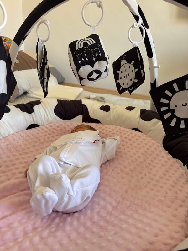 Newborn baby observed with caregiver during playtime in Aprilia