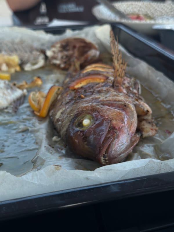 Casual outdoor meal with baked fish and cold soup, Sithonia