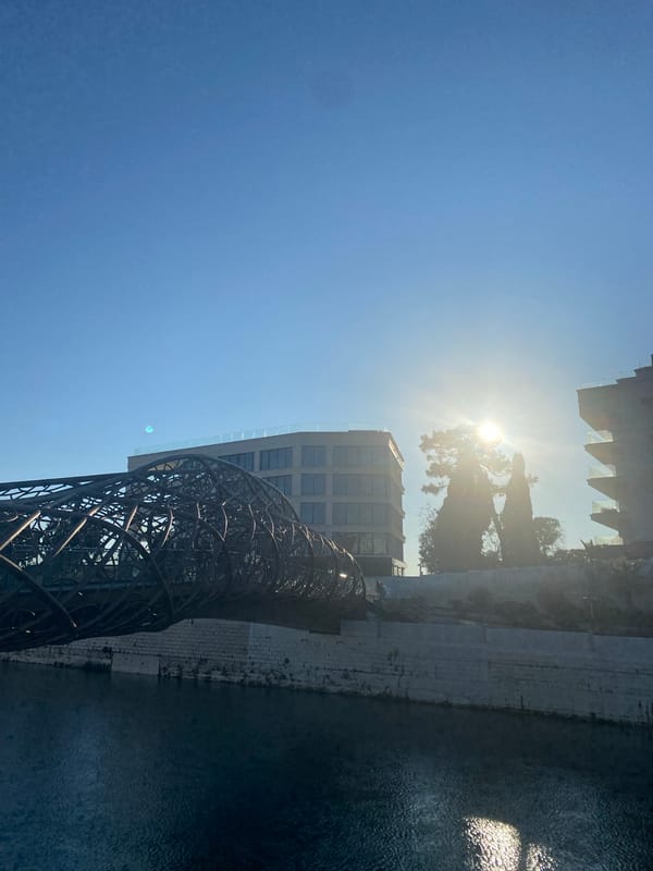 Sunny afternoon scenes captured in Sochi featuring sculpture and palms